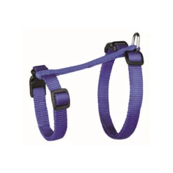 Katzen-Garnitur Für Große Katzen