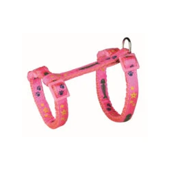 Katzen-Garnitur Mit Leine Bunt -Rundum Katz Verkaufsgeschäft katzen garnitur mit leine bunt2