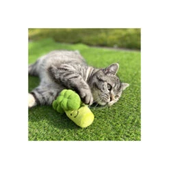 Katzenspielkissen Brokkoli 3 Katzenspielkissen Brokkoli -Rundum Katz Verkaufsgeschäft katzenspielkissen brokkoli2