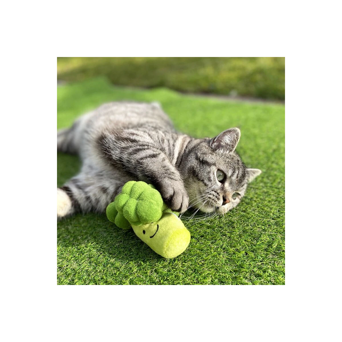 Katzenspielkissen Brokkoli 2 Katzenspielkissen Brokkoli – Bild 2
