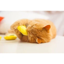 Rundum Katz Verkaufsgeschäft -Rundum Katz Verkaufsgeschäft katzenspielkissen emojis 2er set2