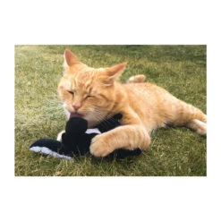 Stinktier Sam Schwarz-weiß -Rundum Katz Verkaufsgeschäft stinktier sam schwarz weiss2